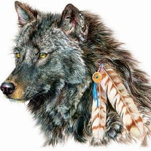 Meet your Posher, Misfit